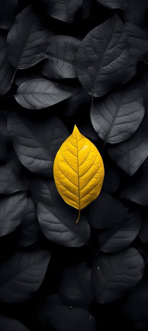 Phone Wallpaper: Motiv 13